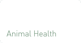 Animal Health